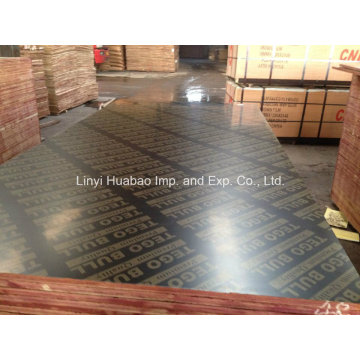 20mm*610*2500 Brown Film Faced Plywood Poplar Core WBP Glue